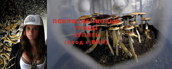 mdma Медвежьегорск