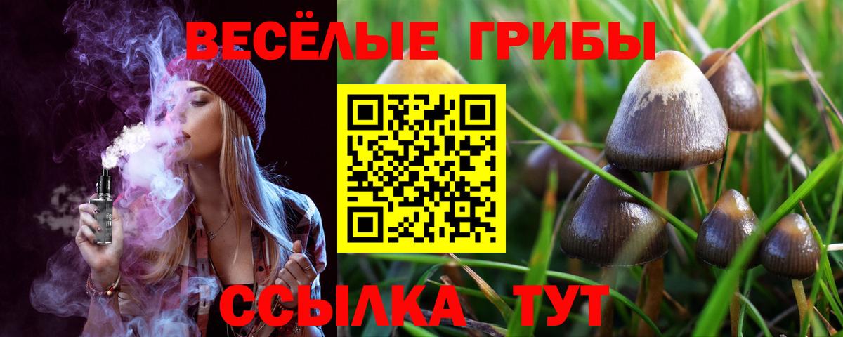 Галлюциногенные грибы прущие грибы Кострома