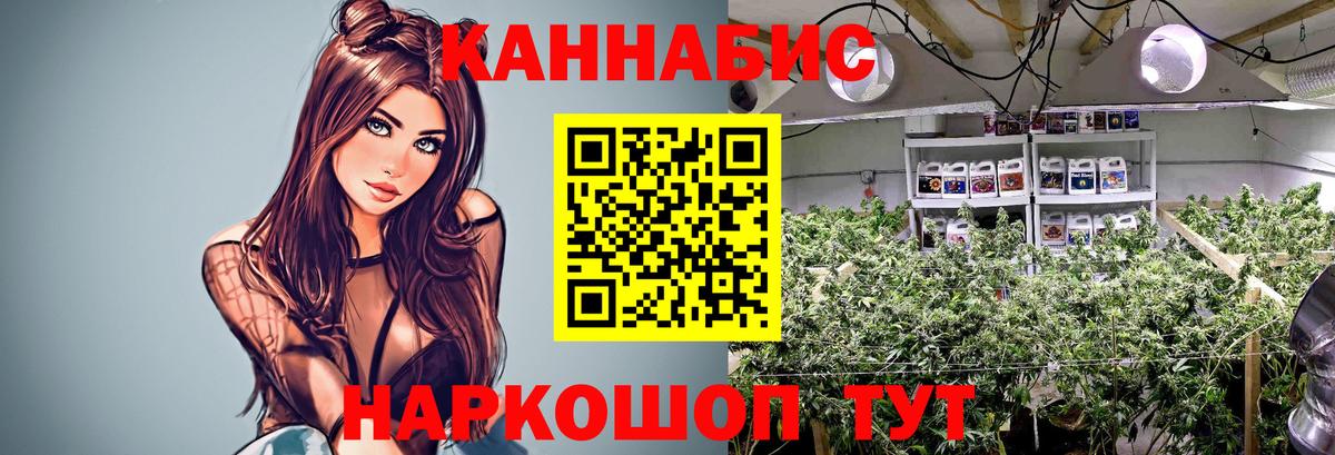 Бошки марихуана White Widow Кострома
